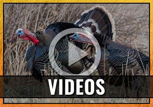 SC2 Outdoors Videos