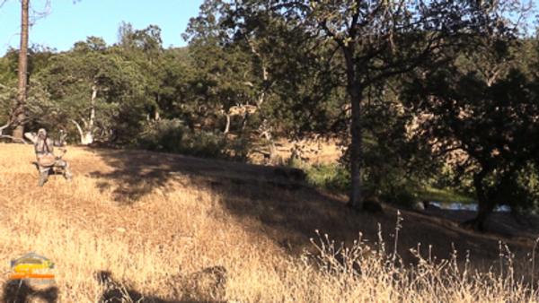 Steve's 2015 411 Northeastern CA Archery Elk Hunt