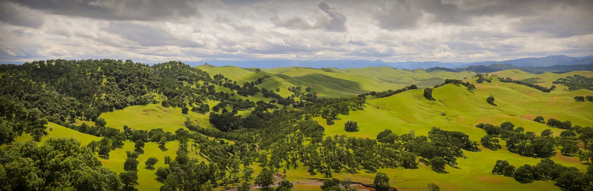 California Private Lands Hunting