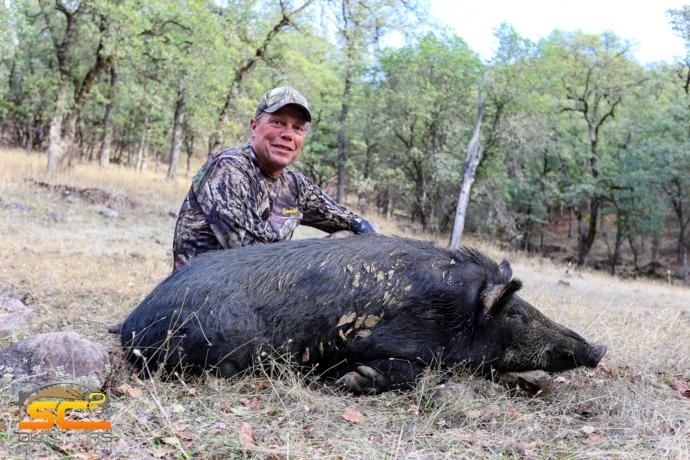 Wild Hog Hunting
