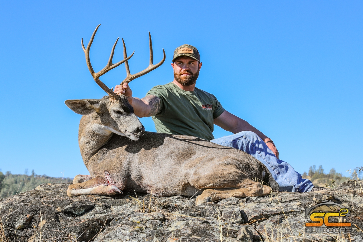Blacktail Deer Hunting (California) Photo