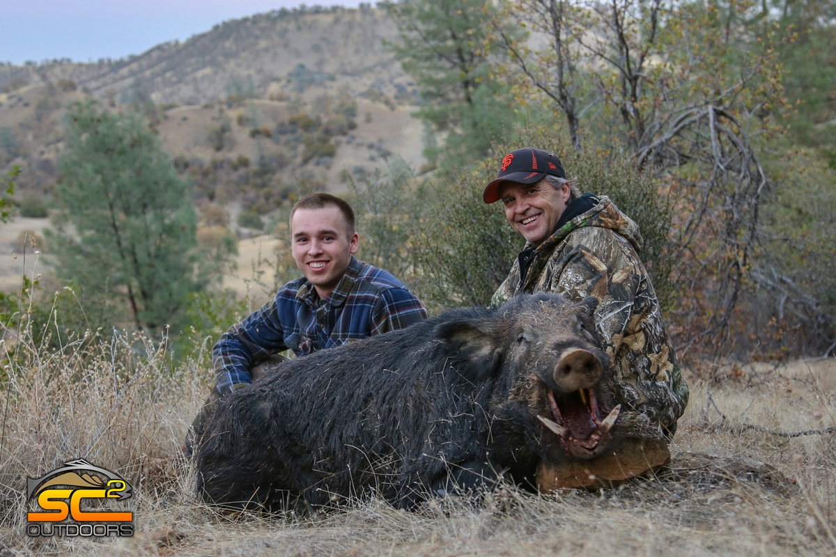 Wild Pig Hunting