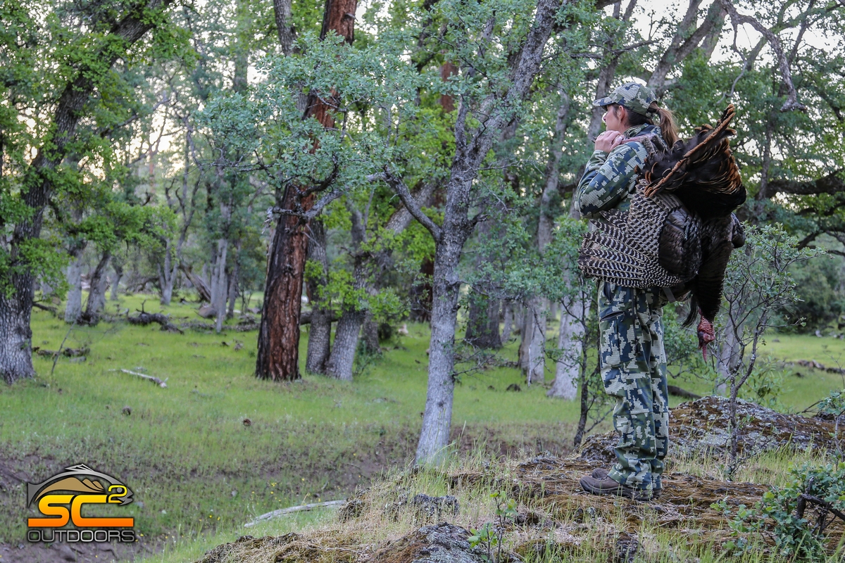 Successful California Spring Wild Turkey Hunt