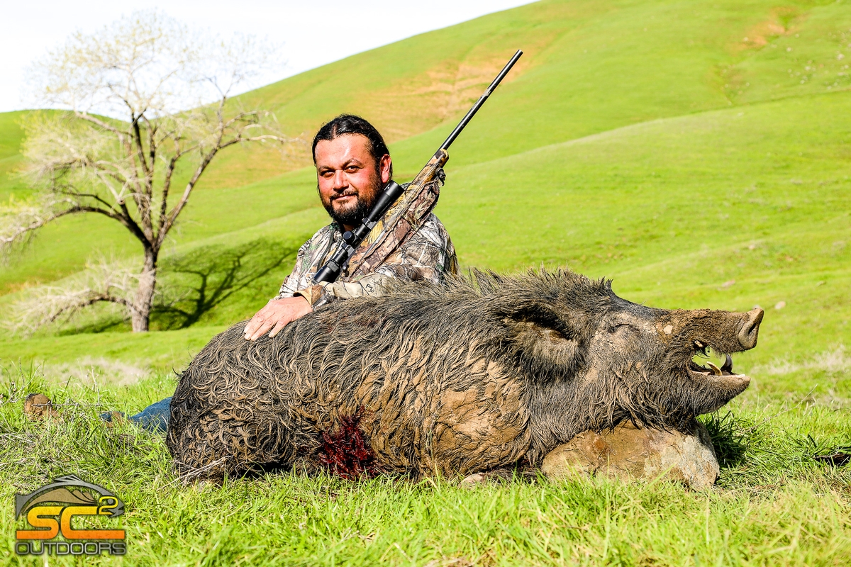 Spot and Stalk Wild Pig Hunting