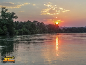 The Beauty of the Sacramento River Headed North Below Cottonwood Creek in August