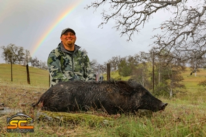 Nathan's 2020 Wild Pig