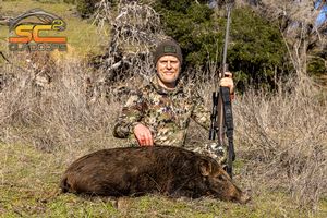 Cato's Wine Country Wild Pig in 2023