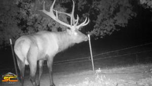 2015 SC2 Outdoors Trail Camera Photo of 