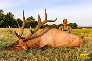 California Rocky Mountain Elk Hunting with SC2 Outdoors | Rob P. Shasta County, California (Zone 305 Northeastern CA Bull) 2016 348
