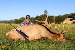 California Rocky Mountain Elk Hunting with SC2 Outdoors | Logan S. Shasta County, California (Zone 409 Northeastern California either-sex Apprentice Hunt) 2016