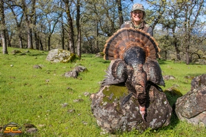 Spring Wild Turkey Hunting with SC2 Outdoors | Shelley C. Shasta County, California