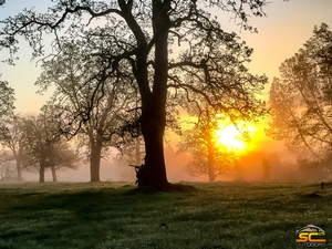 Opening Morning March 2017