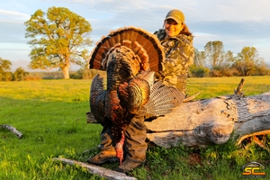 Spring Wild Turkey Hunting with SC2 Outdoors | Kara P. Shasta County, California