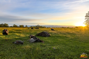 California Rio Grande Gobbler - Dead In The Spread