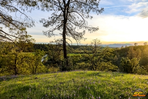 Spring Wild Turkey Hunting with SC2 Outdoors | Shasta County, California