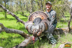 Spring Wild Turkey Hunting with SC2 Outdoors | Michael P. Shasta County, California