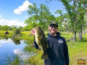 Big Fish in a Small Pond