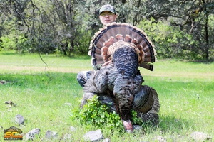 Spring Wild Turkey Hunting with SC2 Outdoors | Dave R. Shasta County, California