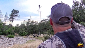 Our Longtime Friend - Mark W. Archery Wild Boar June 2017