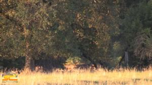 2015 SC2 Outdoors Scouting Photo of 