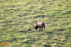 2016 SC2 Outdoors Scouting Picture Solid 6x6