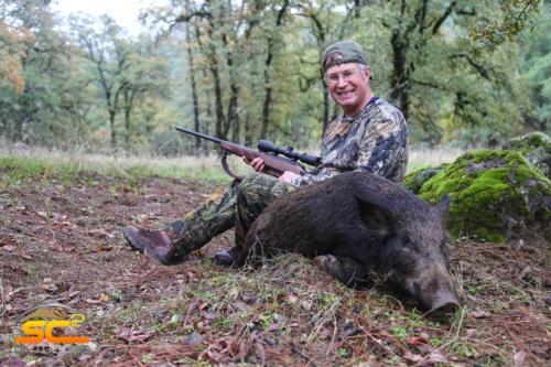 Mark P - Sunnyvale, California